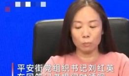 刘红英最新爆料,揭秘事件背后惊人真相
