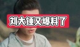 刘大锤早期爆料图片视频,独家图片视频揭秘幕后真相